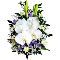 Amazon｜花金・高岡本店【お供え】 funeral 胡蝶蘭 お供えフラワー